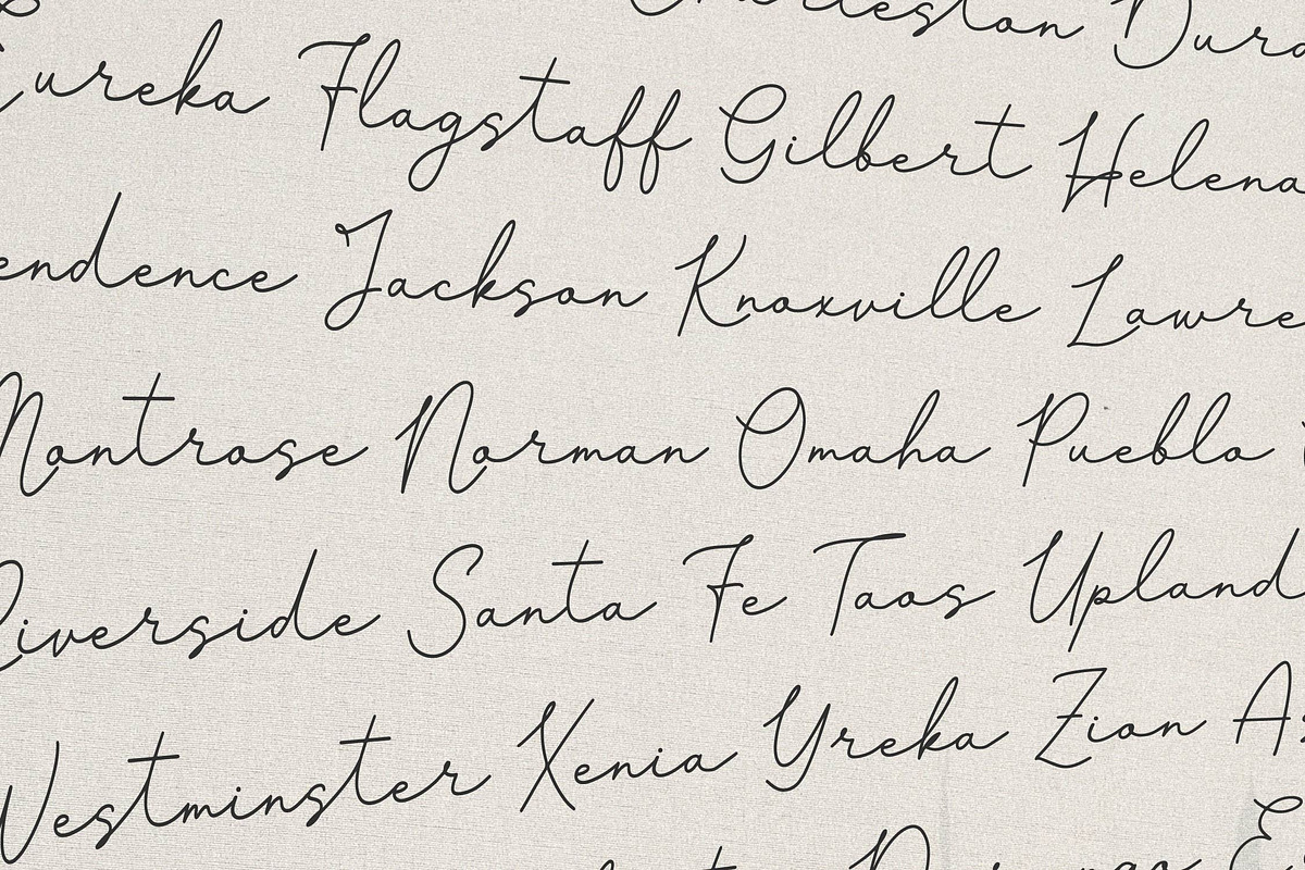 Pasttemy | Monoline Stylish Script, a Script Font by Denustudios (Photo 9 of 15)