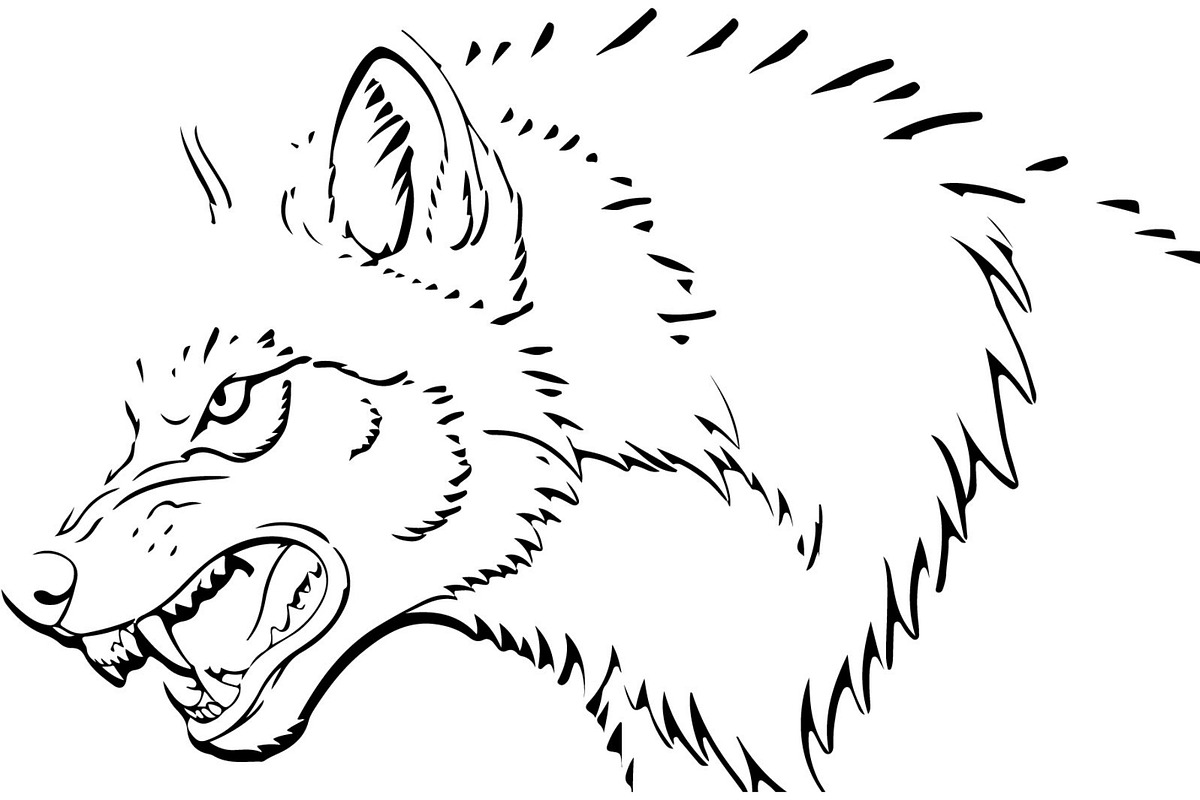 Alpha Wolf Silhouettes Bundle, an Animal Illustration by Designer_Momina (Photo 14 of 21)