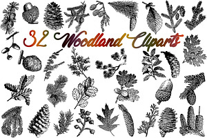 Sale 50% OFF 32 Woodland vectors