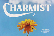 Charmist – Thick And Unique Serif, a Serif Font by Prioritype Co (Thumbnail 10 of 11)