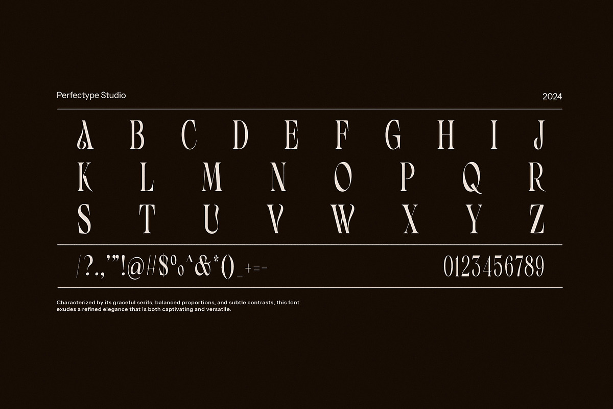Wavera Stylish Serif Font, a Serif Font by Perfectype (Photo 8 of 8)