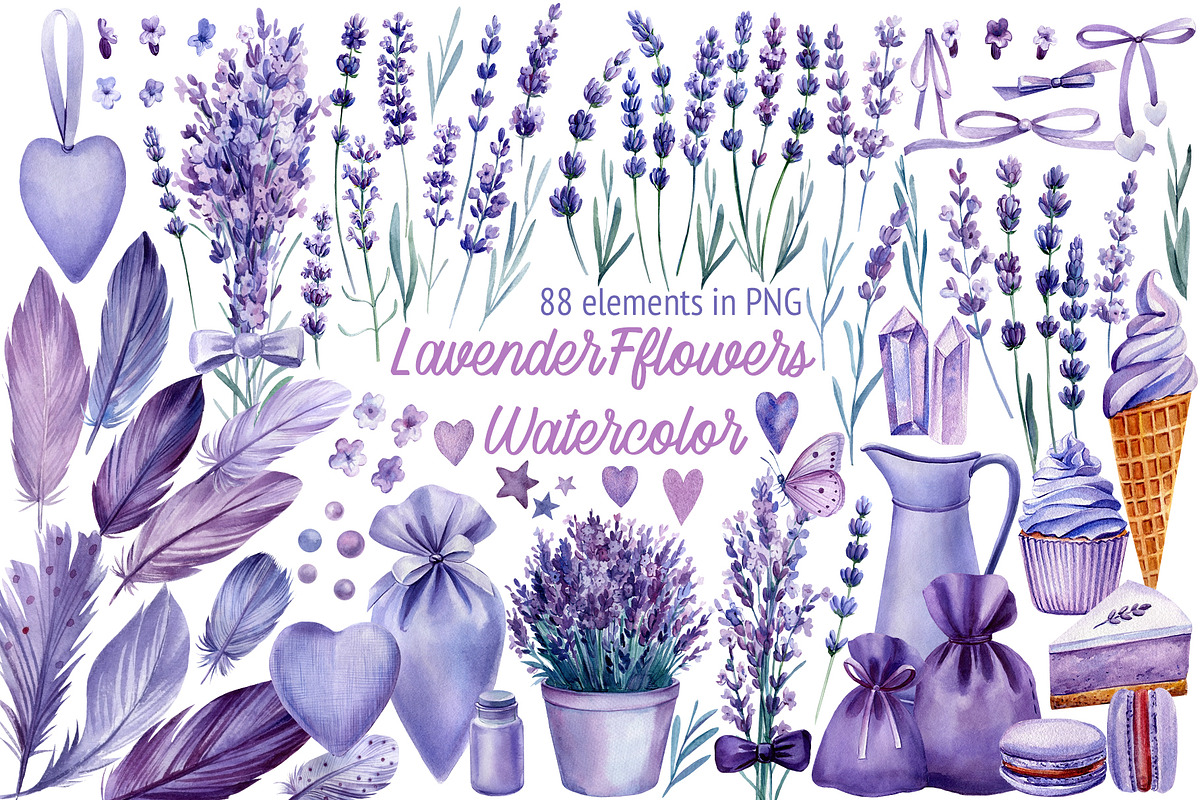 Lavender flowers watercolor, clipart, a Food Illustration by Hanna Hryharenka (Photo 1 of 17)