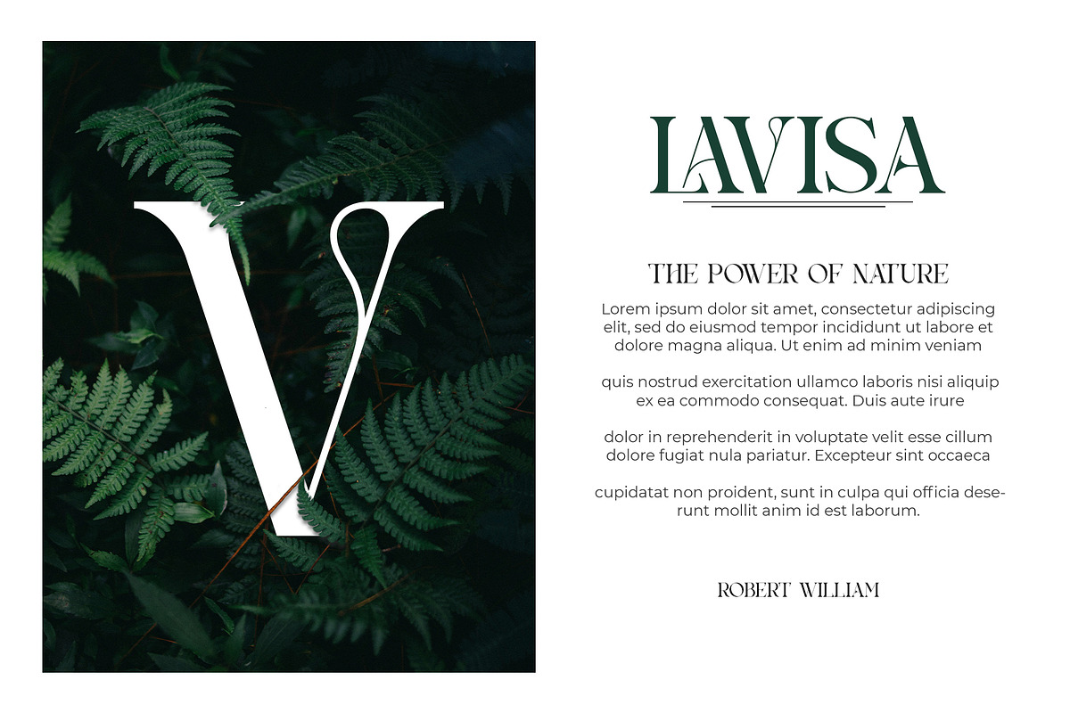 Rheata - Unique Serif Font, a Serif Font by Idea Studio (Photo 5 of 11)