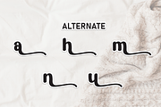 Blanket | Script Font, a Script Font by Scratchones (Thumbnail 8 of 9)