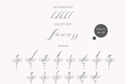 Glaston Romantic Calligraphy, a Script Font by Ef Studio (Thumbnail 11 of 13)