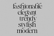Breakfast Club - Duo Font, a Serif Font by subkulturetype (Thumbnail 6 of 12)