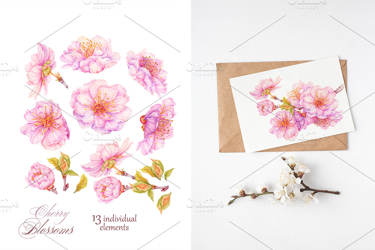 Cherry Blossom, Sakura Watercolor, an Illustration by MarinadeArt (Photo 4 of 6)
