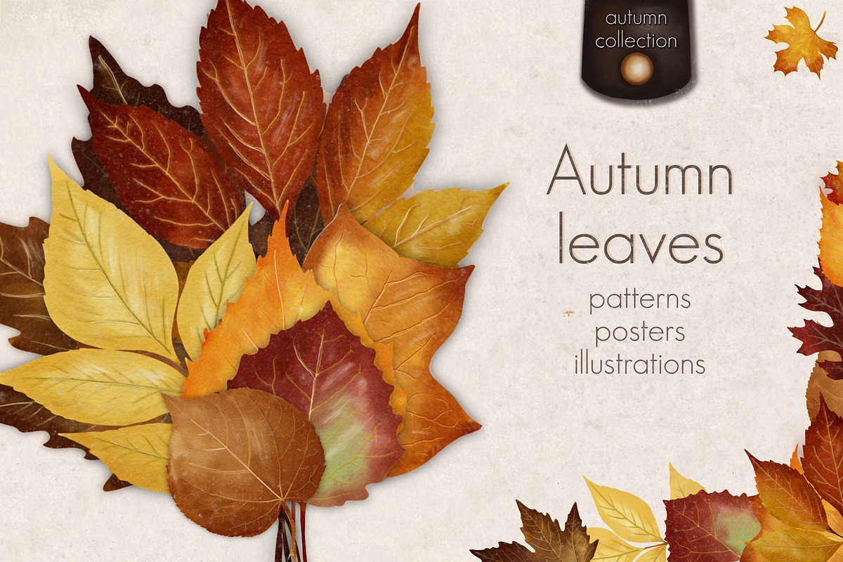 Autumn leaves set, a Decorative Illustration by AfieArt (Photo 1 of 7)