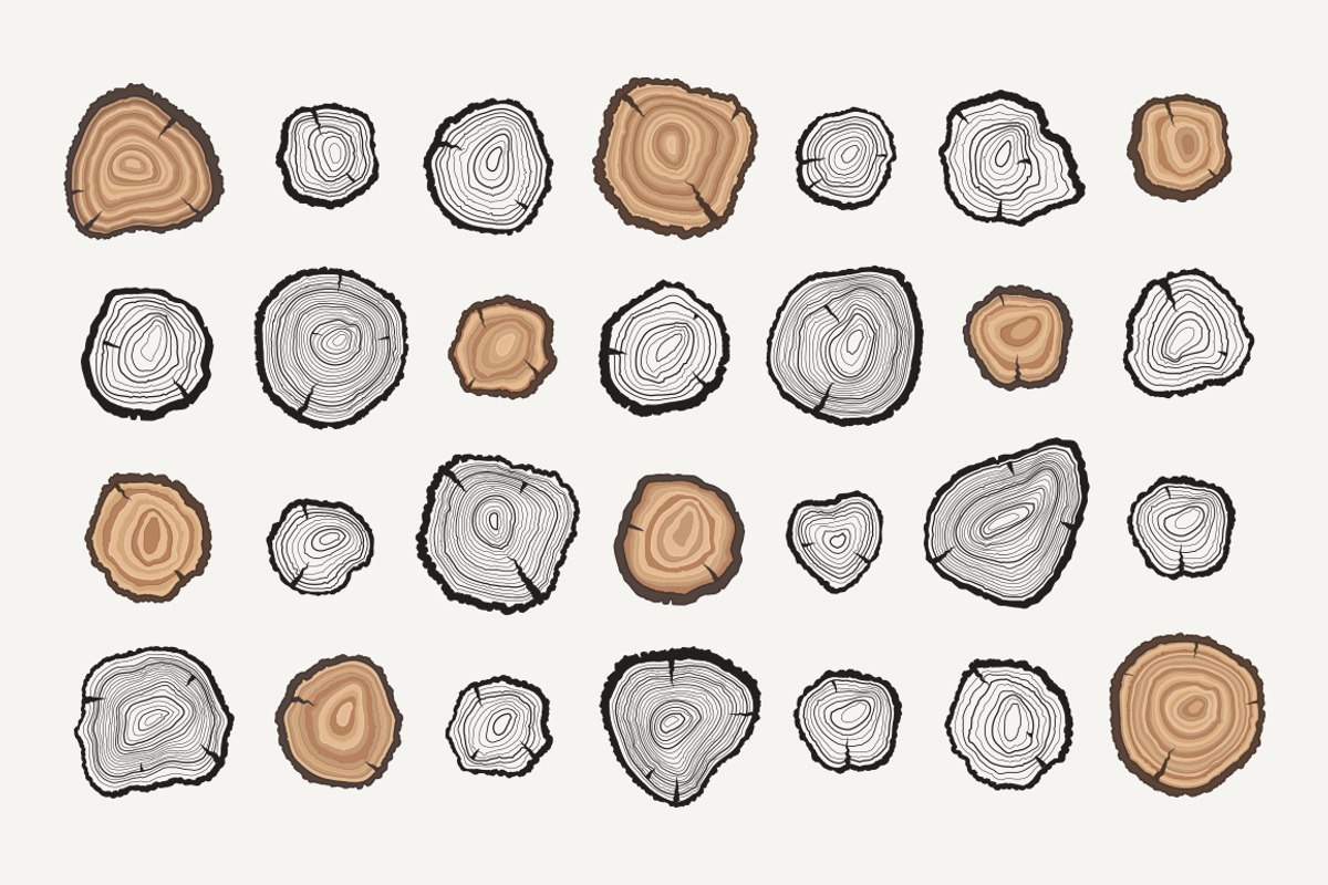 Vector tree rings bundle, a Texture Illustration by Exit Graphic Shop (Photo 2 of 4)