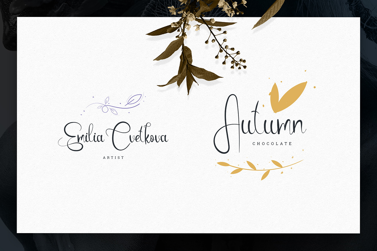 Emanuela Typeface and Designs -33%, a Script Font by VP Fonts (Photo 11 of 13)