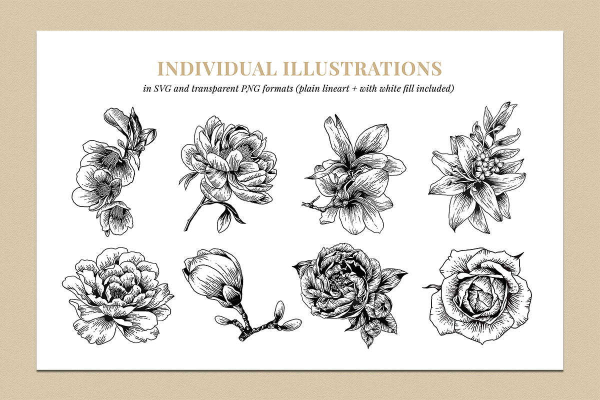 Botanical Illustration Bundle, an Illustration by Rough Edges Supply Co. (Photo 2 of 17)