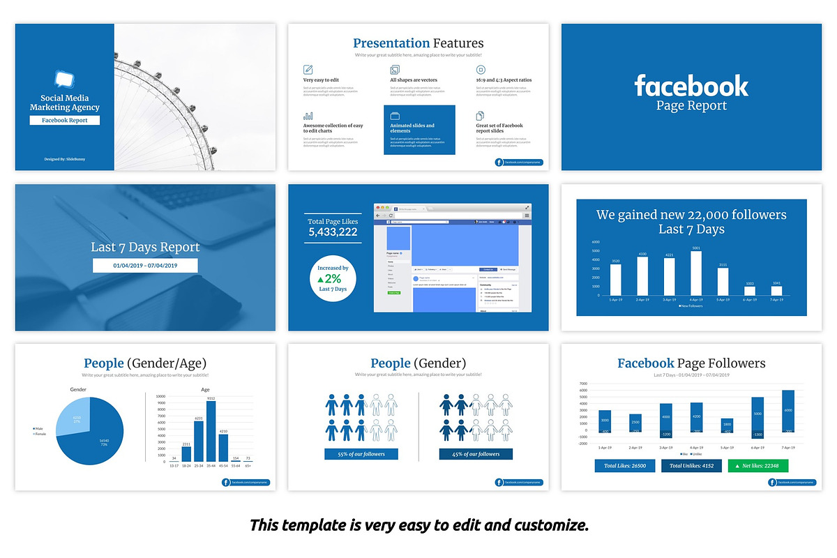Facebook Report Google Slides, a Presentation Template by SlideBunny (Photo 4 of 9)