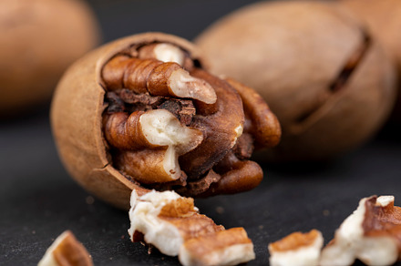 fresh crop of pecans on the surface, a Photo by MyPhotos