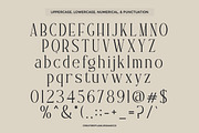 Verlane - Serif Modern Font, a Serif Font by Flawless And Co (Thumbnail 10 of 10)