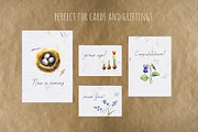 Watercolor Spring Creator, an Animal Illustration by SophieLittleEye (Thumbnail 11 of 12)