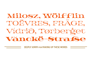 Jeames, a Serif Font by Very Cool Studio (Thumbnail 5 of 5)