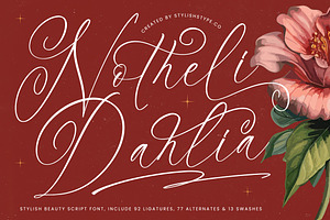 Notheli Dahlia Stylish Beauty Script, a Script Font by stylishtype.co