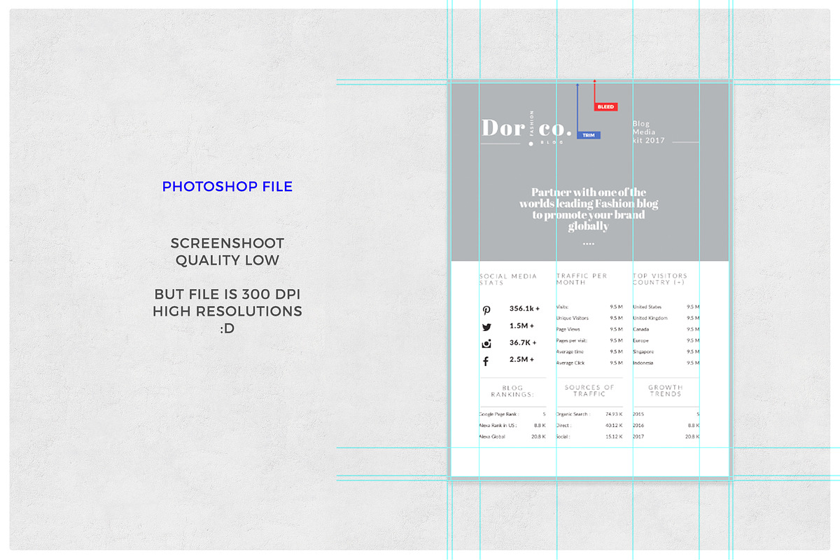 Blogger Media Kit, a Stationery Template by Proonty (Photo 4 of 4)