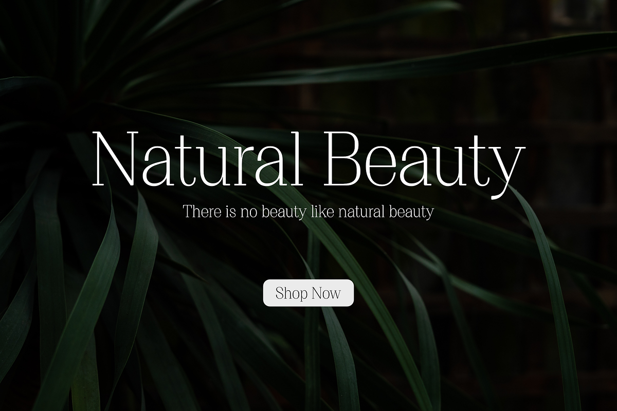 Proto Serif Light, a Serif Font by Bukva™ Type Foundry (Photo 10 of 13)
