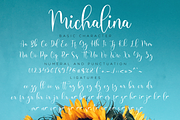 Michalina // Elegant Font Script, a Script Font by Nissa Studio (Thumbnail 11 of 12)