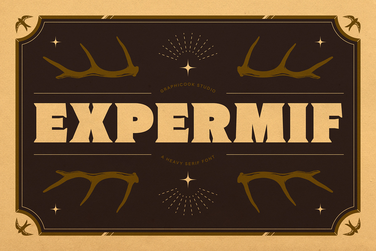 Expermif, a Serif Font by graphicook (Photo 1 of 10)