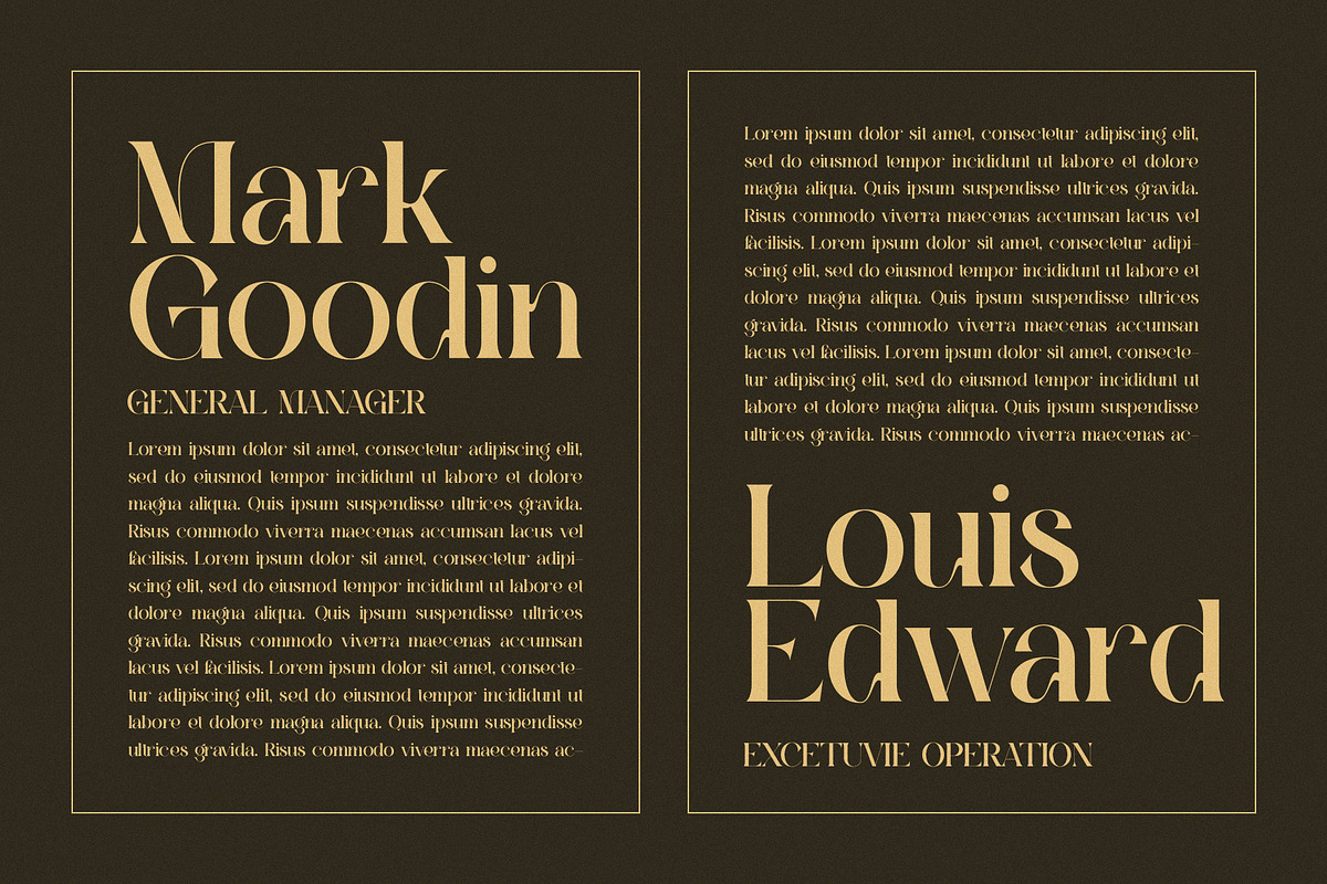 Magins Vintage Serif Font, a Serif Font by Graphicxell (Photo 6 of 8)
