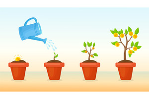 Money tree watering. Gold coin, a Finance Illustration by Valerie Bodnar