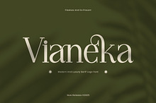 Vianeka -  Modern Luxury Serif Font