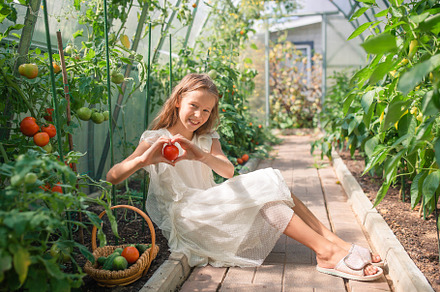 Adorable girl harvesting vegetables in greenhouse. Portrait of kid with basket, a Person Photo by travnikovstudio