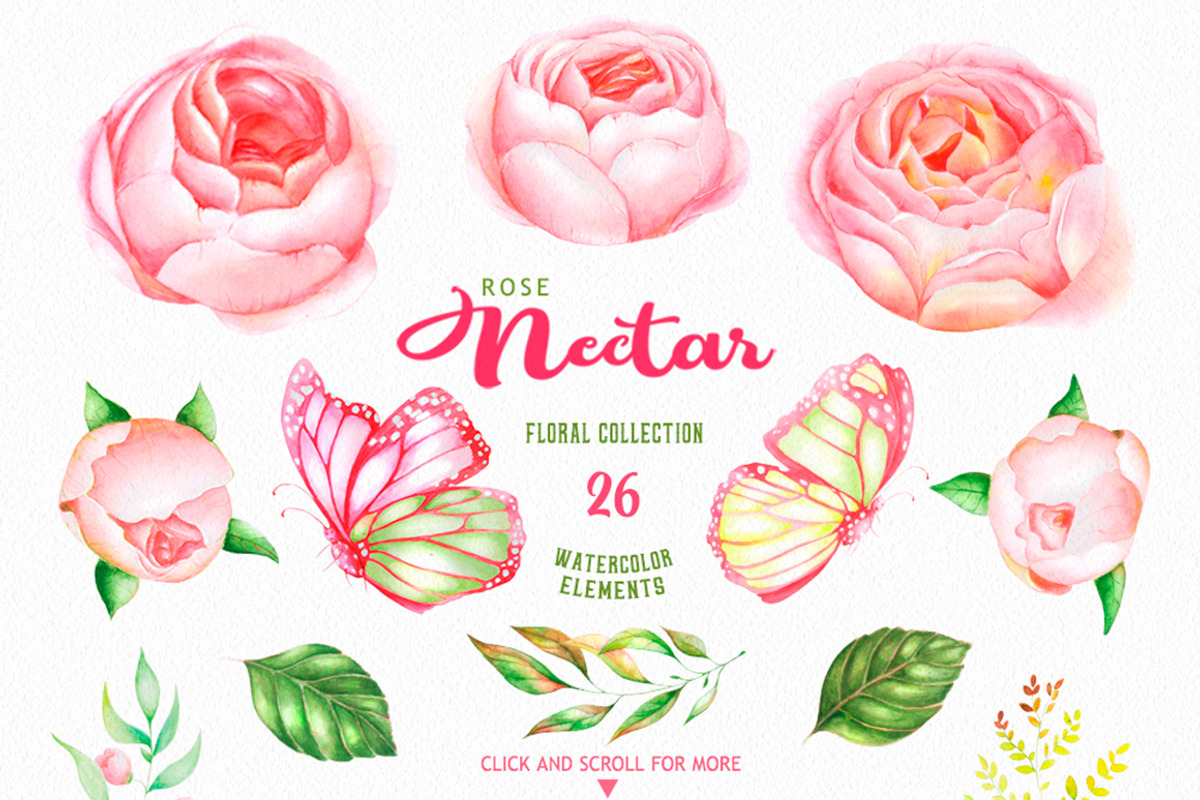 Watercolor Rose Nectar - clipart, an Illustration by LaVika (Photo 2 of 8)