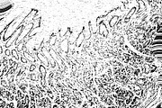 Lilliputian, a Texture Graphic by Jennifer Lauren Creative (Thumbnail 22 of 28)