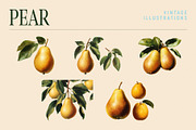 Vintage Graphic Elements_FRUITS, an Object Illustration by BOLD.Graphic (Thumbnail 8 of 8)