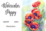 Watercolor Poppies Flowers Art, a Decorative Illustration by MaryAmi (Thumbnail 1 of 3)
