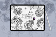 Hydrangea Procreate Stamps, a Brush Add-On by Dervik Art Store (Thumbnail 1 of 4)