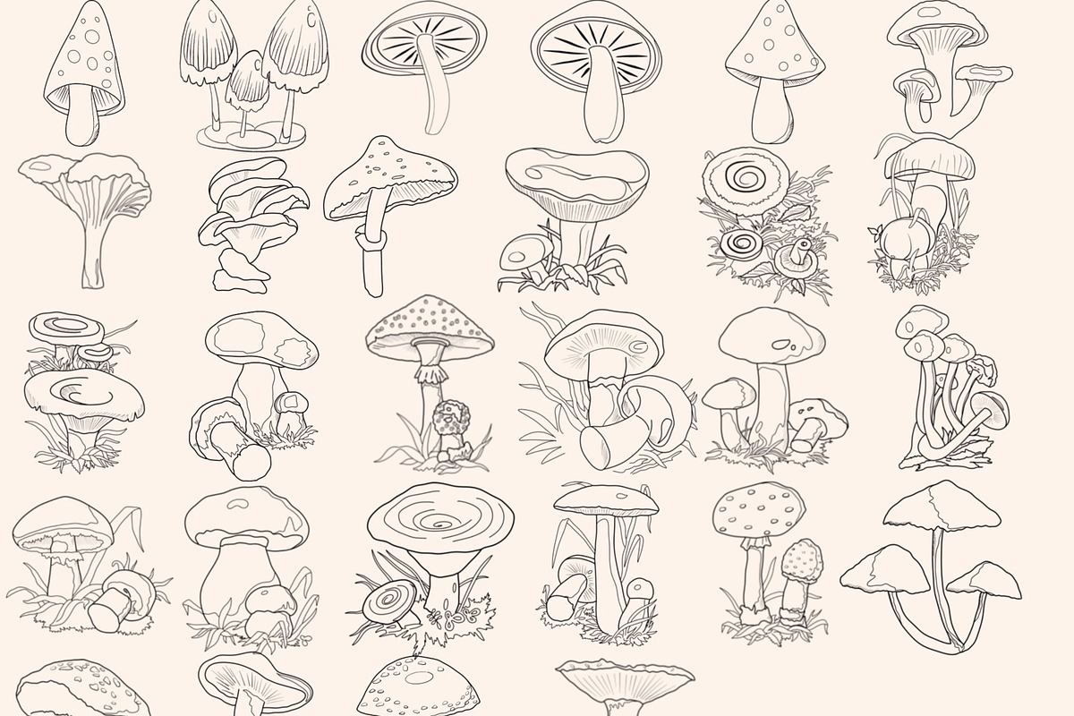 Mushrooms Digital Stamps, a Graphic by Favorites_Art (Photo 7 of 15)