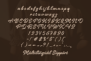 Almonia Blonde – Beautiful Script, a Script Font by Sronstudio (Thumbnail 16 of 17)