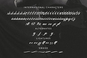 Chandeer Holestter, a Script Font by Goresan Studio (Thumbnail 12 of 15)