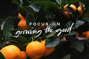 Tangerine Skies Font Duo, a Sans Serif Font by Jen Wagner Co (Thumbnail 3 of 9)