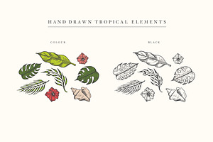 Hand Drawn Tropical Vector Elements