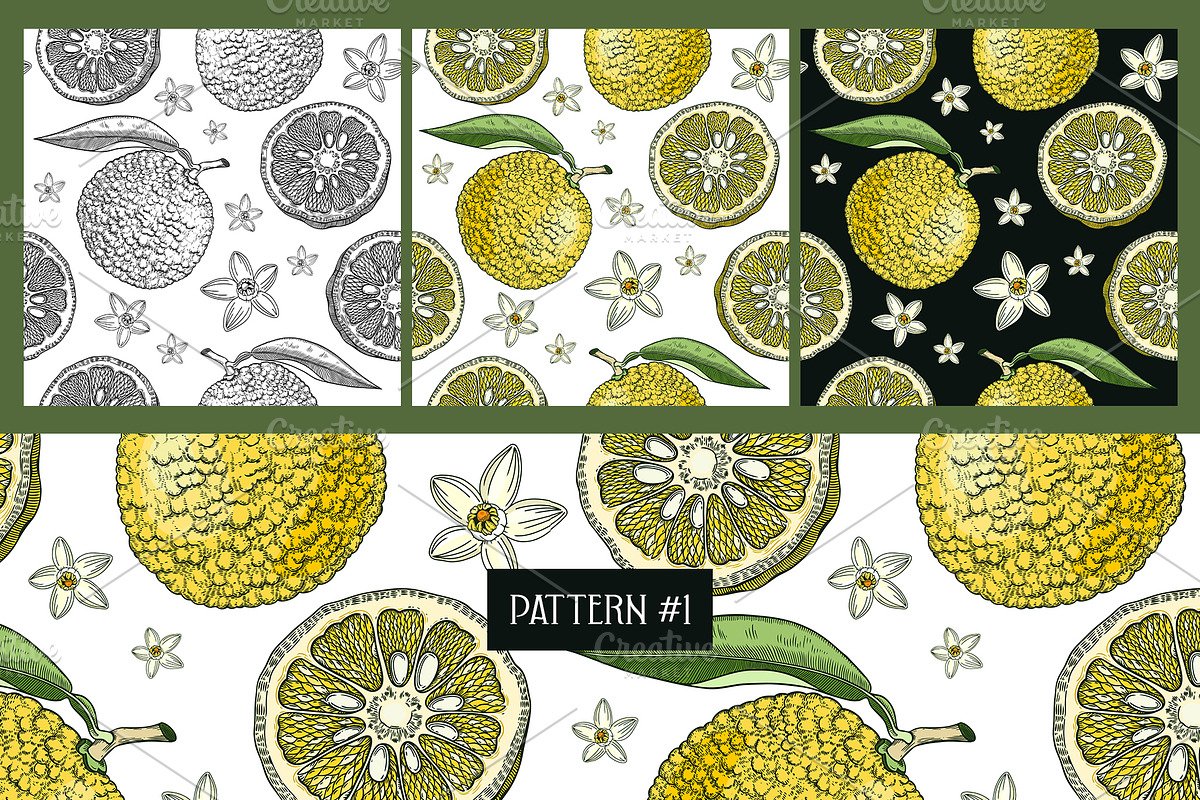 Yuzu - Citrus Fruit and Patterns, a Food Illustration by Yevheniia (Photo 9 of 12)