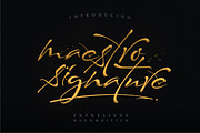 Maestro Signature // Expresivve Font, a Script Font by typeline studio (Thumbnail 1 of 9)