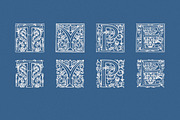 Ornate Vintage Drop Cap Font, a Symbol Font by Century Library (Thumbnail 4 of 5)