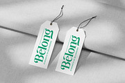 Adjust Smile Modern Tall Serif, a Serif Font by timelesstype.co (Thumbnail 9 of 20)