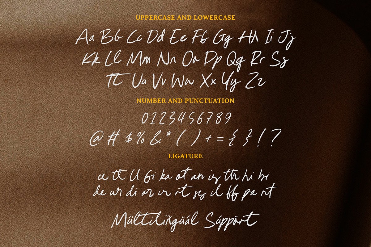 Authentic Strokes Font, a Script Font by Timurtype (Photo 6 of 7)