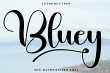Bluey