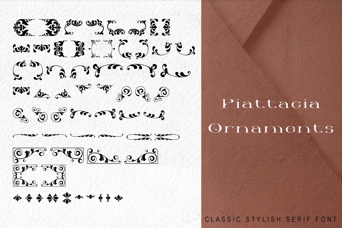Piattacia font family, a Serif Font by greatypes studio (Photo 6 of 15)