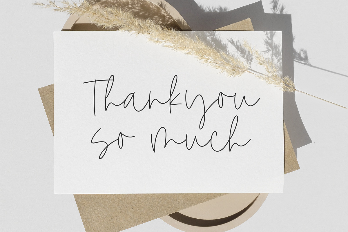 Dominate - Monoline Font, a Handwritten Font by Timurtype (Photo 6 of 7)