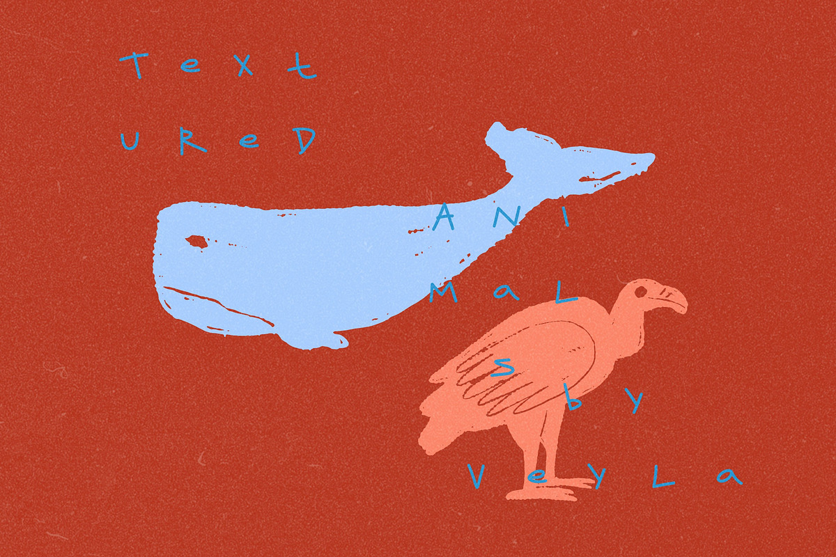 Textured Animals: 123 Elements, an Animal Illustration by Veyla (Photo 7 of 14)