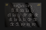 Stager - Unique Classy Serif, a Serif Font by Dharmas Foundry (Thumbnail 14 of 15)