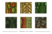 Crocodile or Alligator Skin Patterns, a Pattern Graphic by karenfoleyphoto (Thumbnail 5 of 9)
